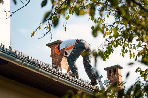 Best Roof Repair Services  in Fayette, OH