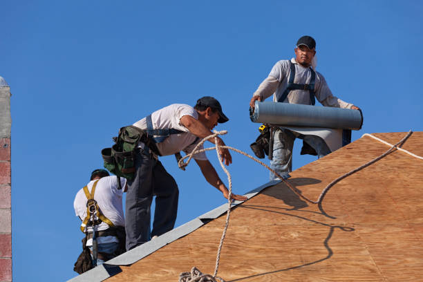 Best Affordable Roof Replacement  in Fayette, OH